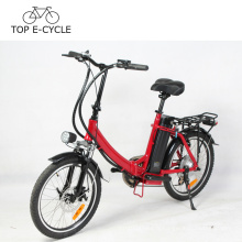 Top E Cycle Vélo Électrique 20 Pouces Pliable Ebike 36V 300W Moteur Puissant Vélo Pliant Électrique